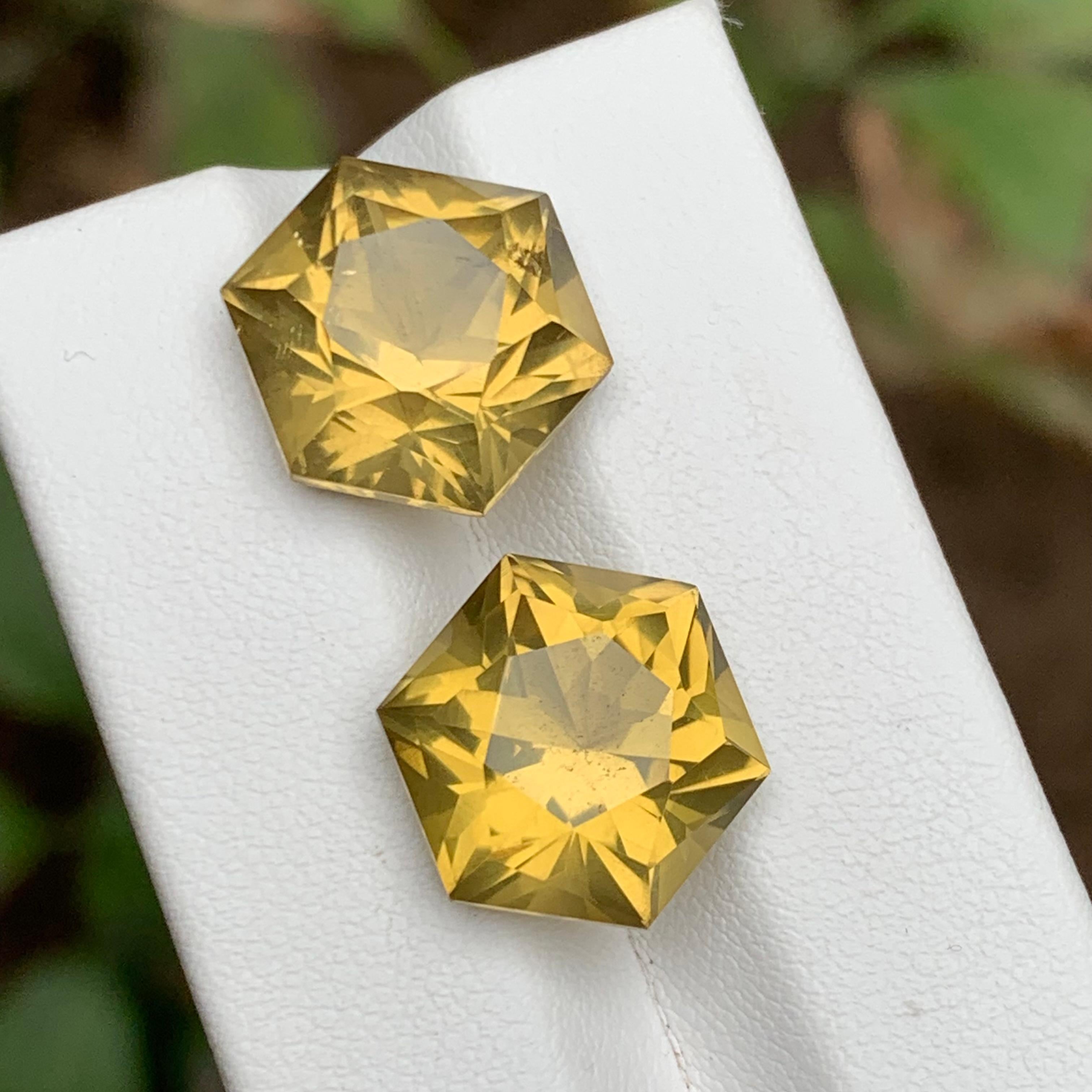 Yellow Natural Citrine Earrings Loose Gemstone Pair 20.15 CT Hexagon Cut-Jewelry For Sale 5