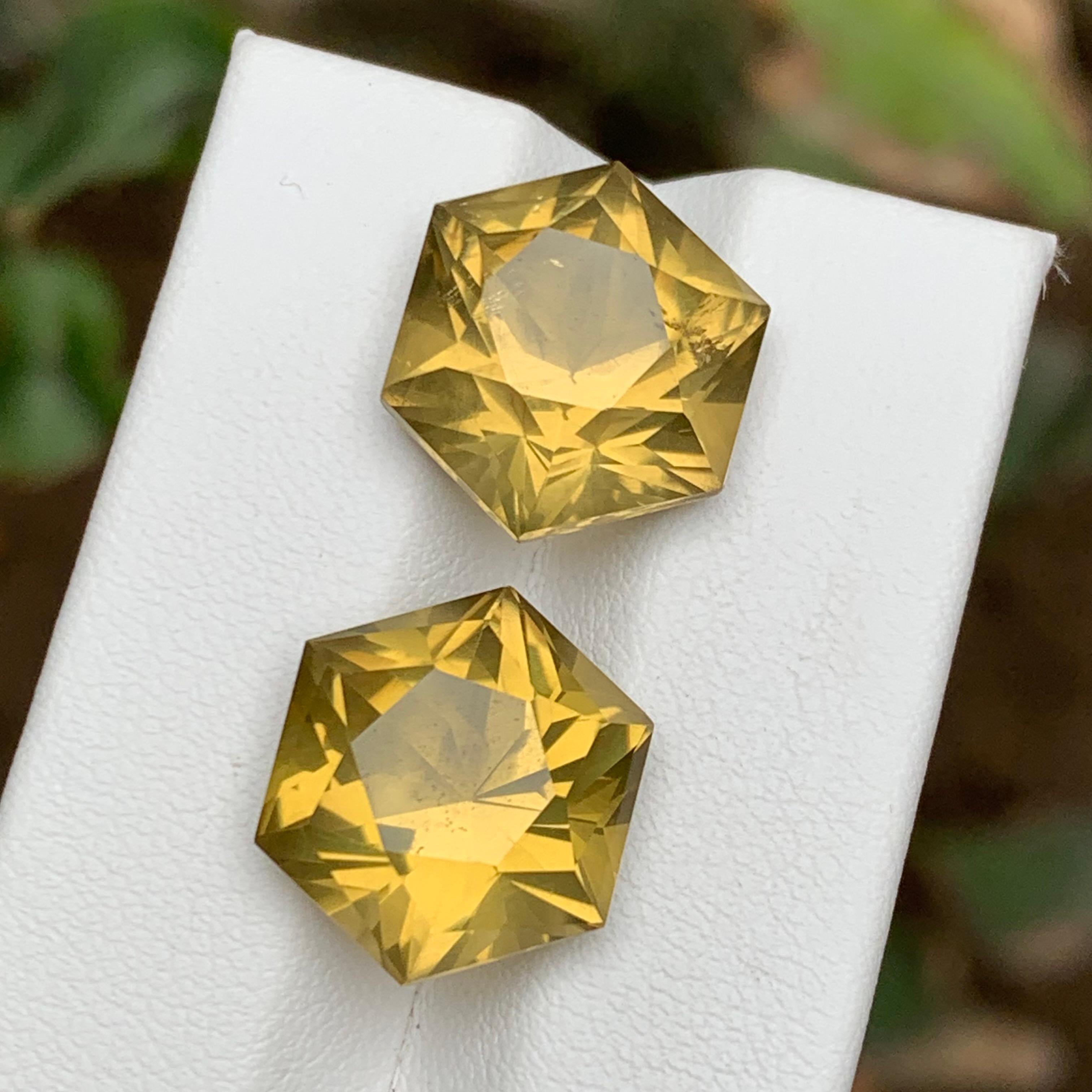 Yellow Natural Citrine Earrings Loose Gemstone Pair 20.15 CT Hexagon Cut-Jewelry For Sale 6
