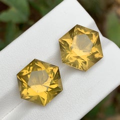 Yellow Natural Citrine Earrings Loose Gemstone Pair 20.15 CT Hexagon Cut-Jewelry