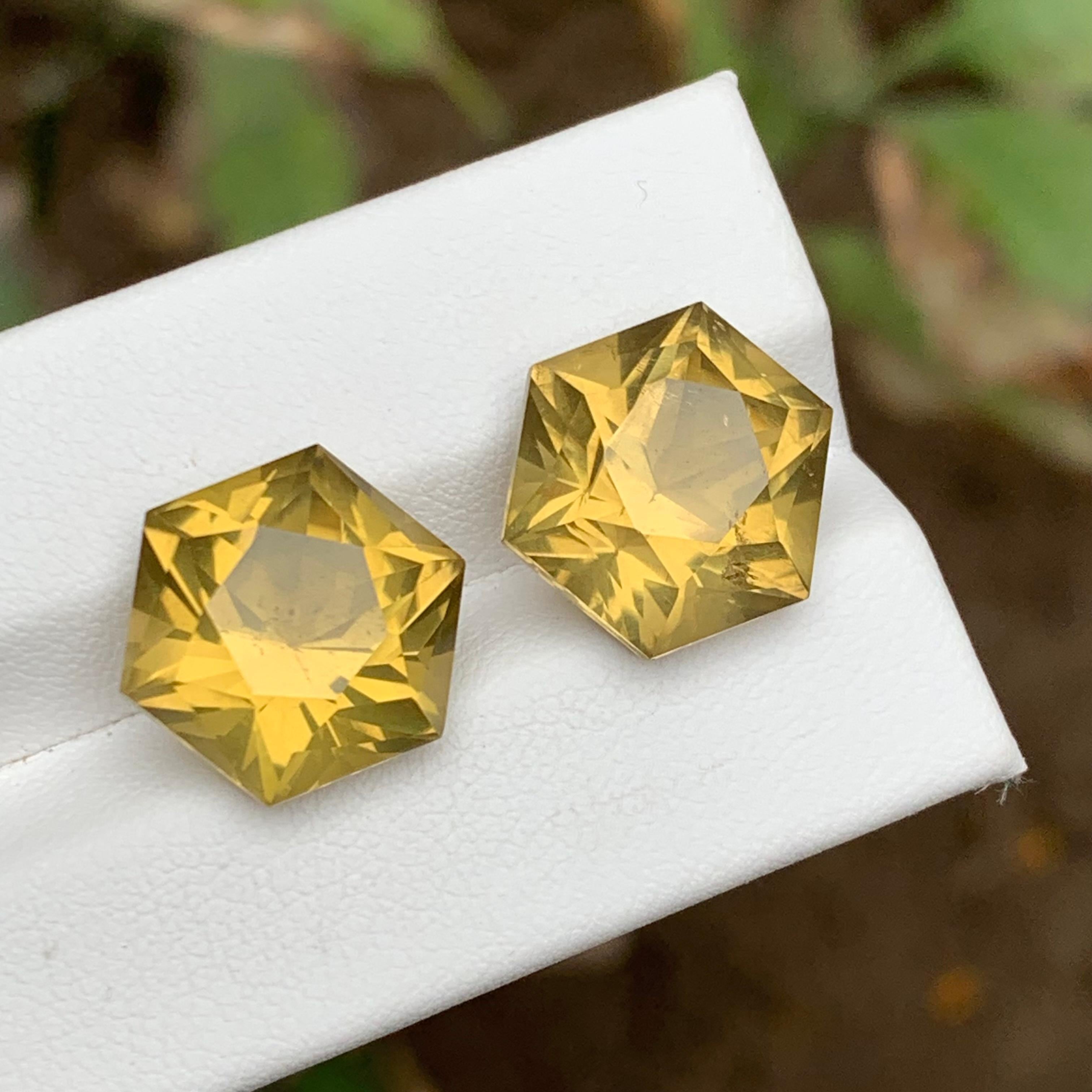 Yellow Natural Citrine Earrings Loose Gemstone Pair 20.15 CT Hexagon Cut-Jewelry For Sale 1