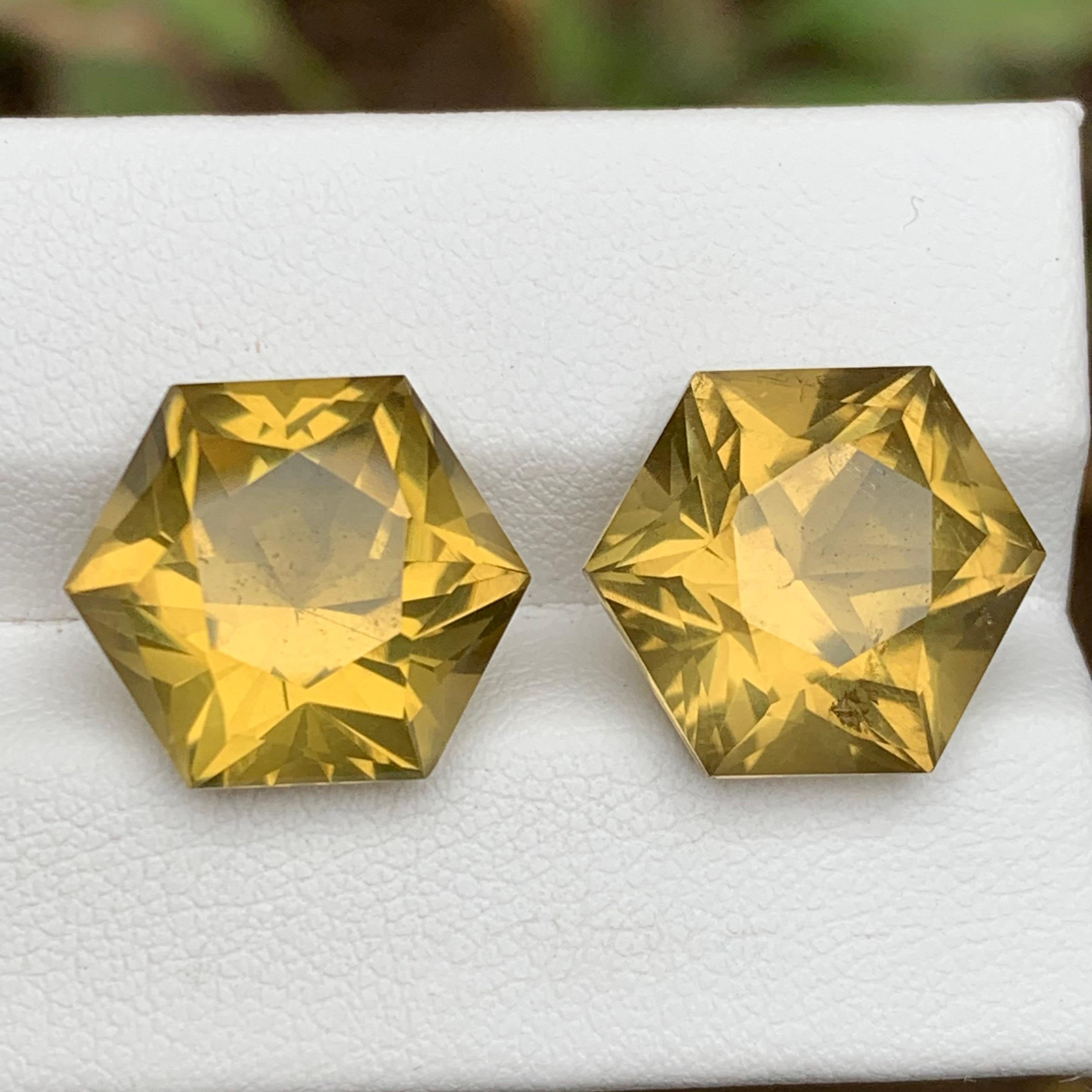 Yellow Natural Citrine Earrings Loose Gemstone Pair 20.15 CT Hexagon Cut-Jewelry For Sale 3