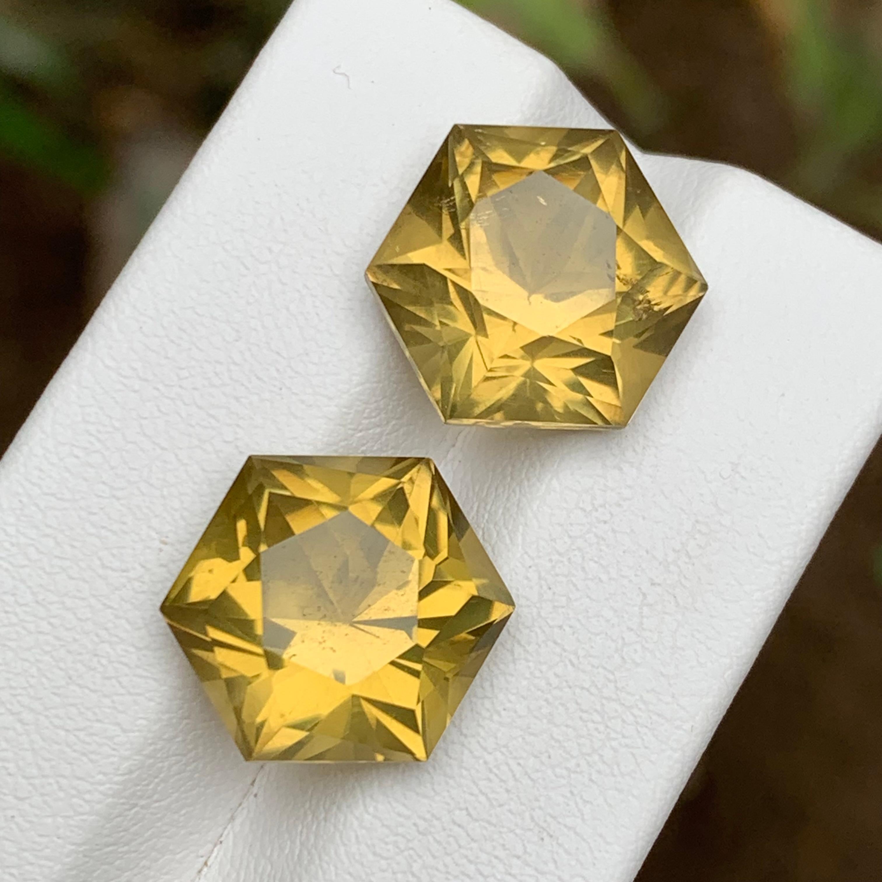 Yellow Natural Citrine Earrings Loose Gemstone Pair 20.15 CT Hexagon Cut-Jewelry For Sale 4