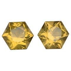 Gelbe natürliche Citrin Ohrringe Lose Edelstein Paar 20,15 CT Hexagon Schliff-Schmuck
