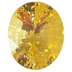 Saphir jaune 17,74 carats