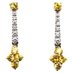 Dangle Earrings