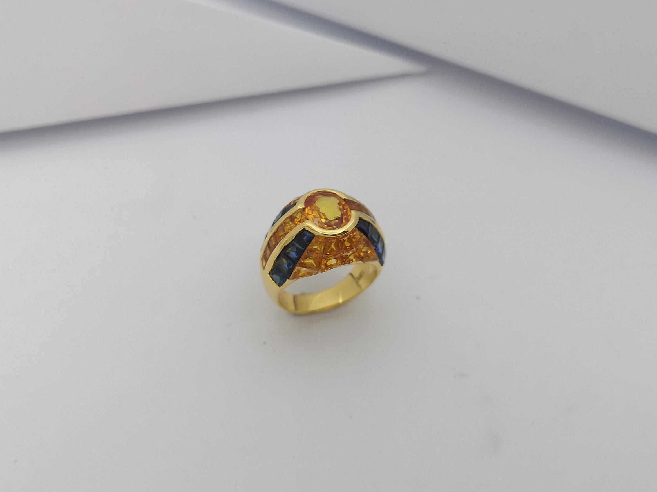 Yellow Sapphire with Blue Sapphire Ring Set in 18 Karat Gold Settings For Sale 10