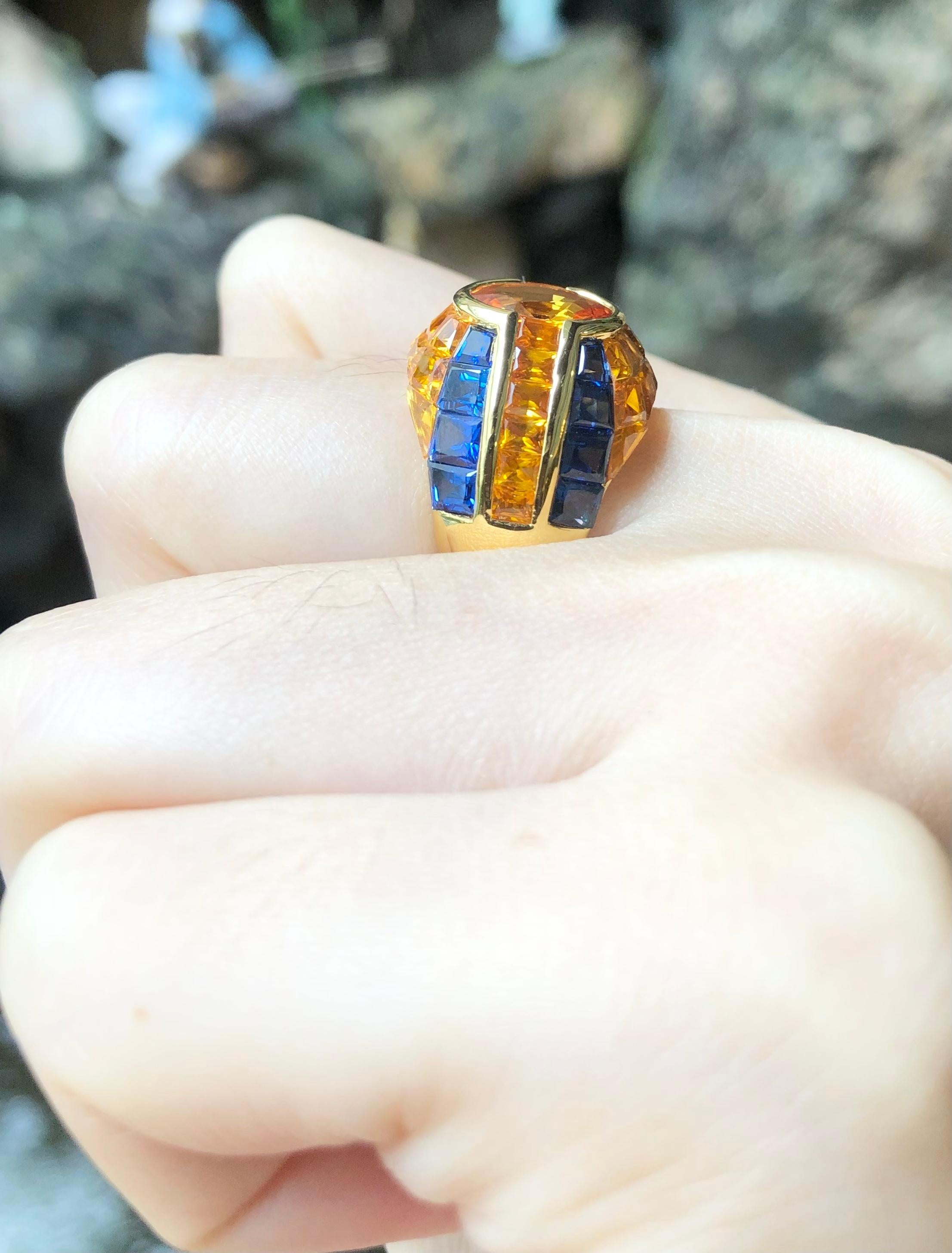 Yellow Sapphire with Blue Sapphire Ring Set in 18 Karat Gold Settings For Sale 1