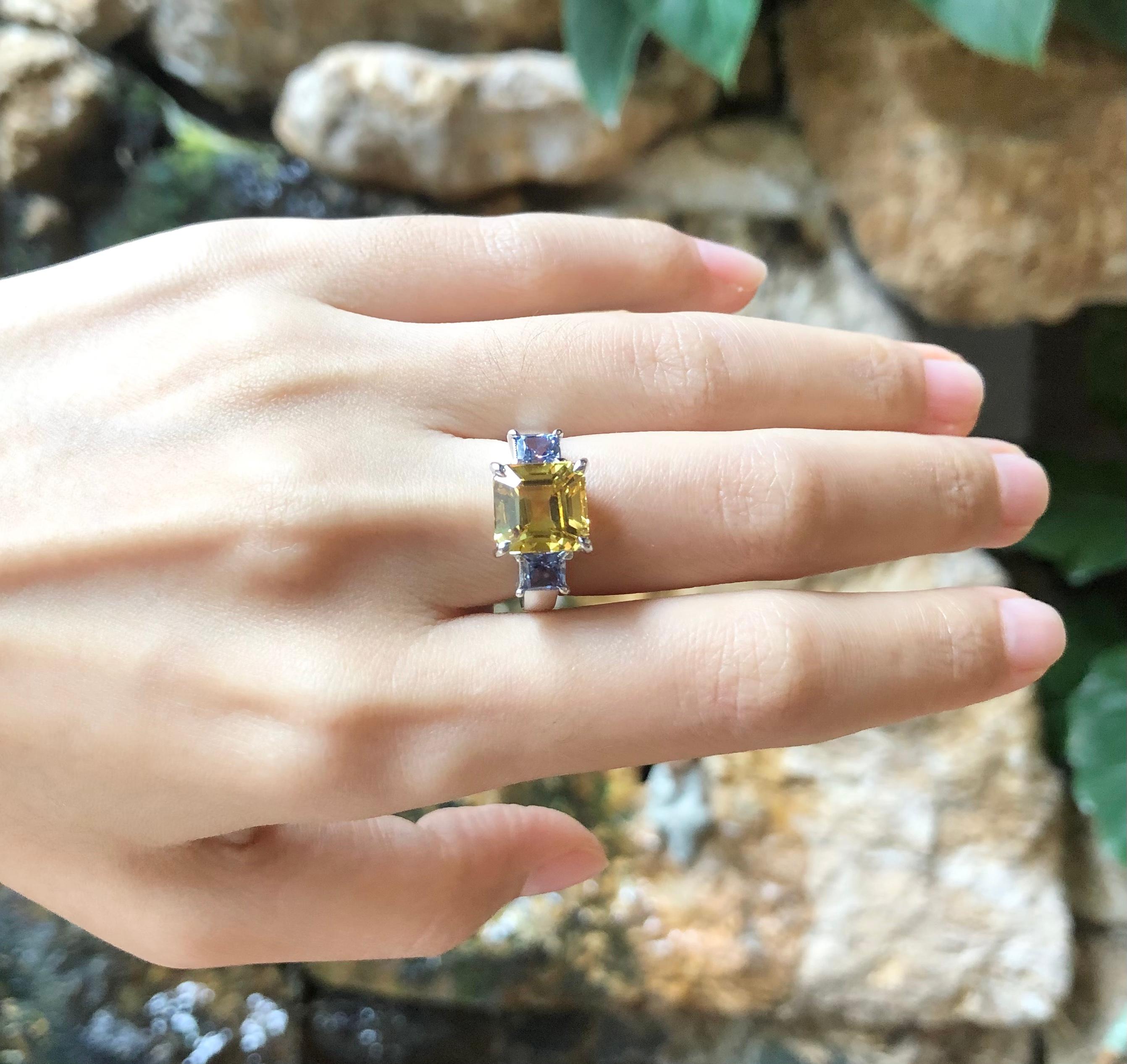 Princess Cut Yellow Sapphire with Blue Sapphire Ring Set in 18 Karat White Gold Settings For Sale