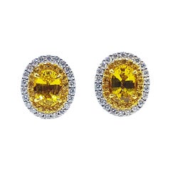 Yellow Sapphire with Diamond Earrings set in 18 Karat White Gold Settings