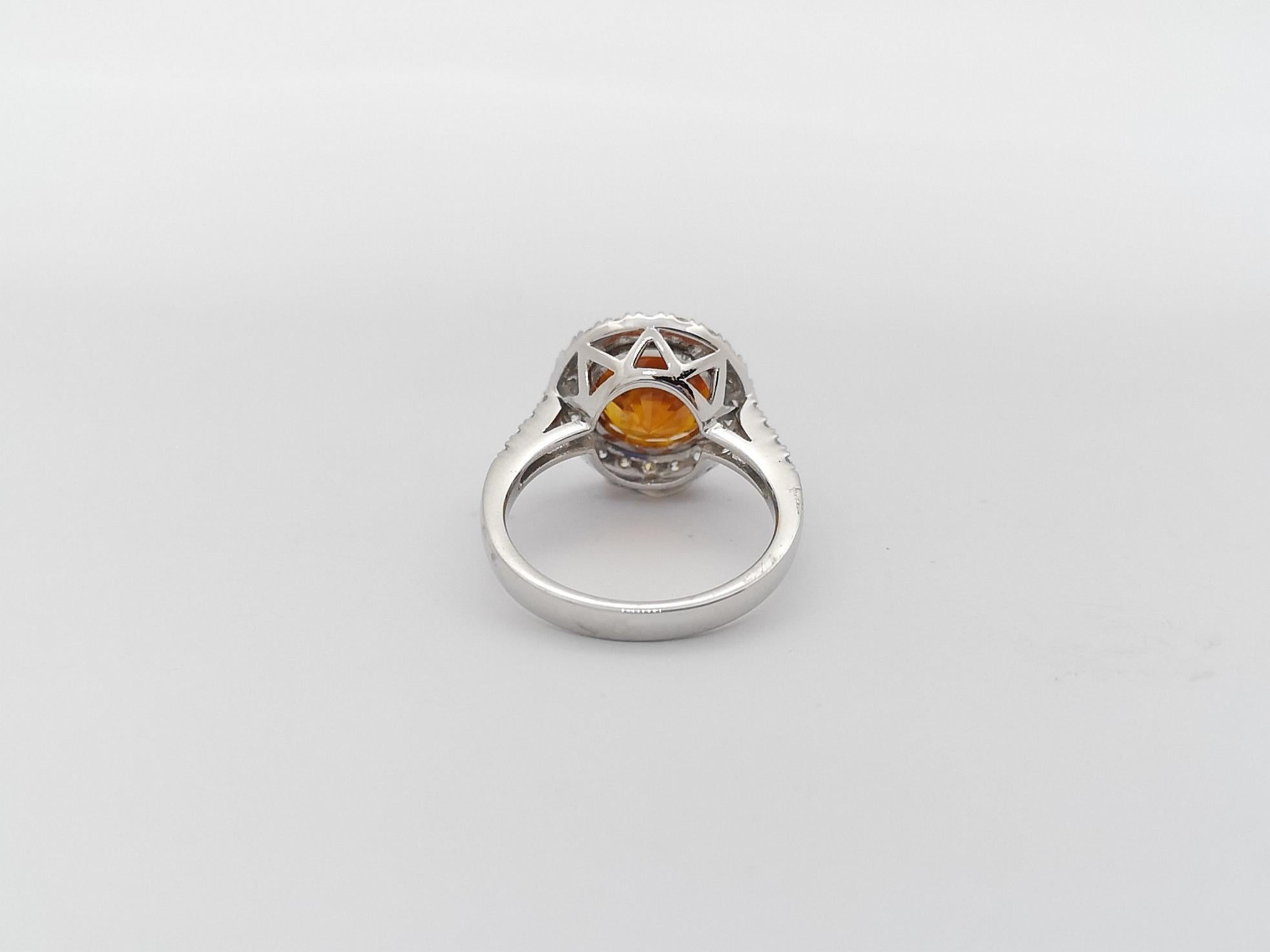 Yellow Sapphire with Diamond Ring Set in 18k White Gold Settings For Sale 5