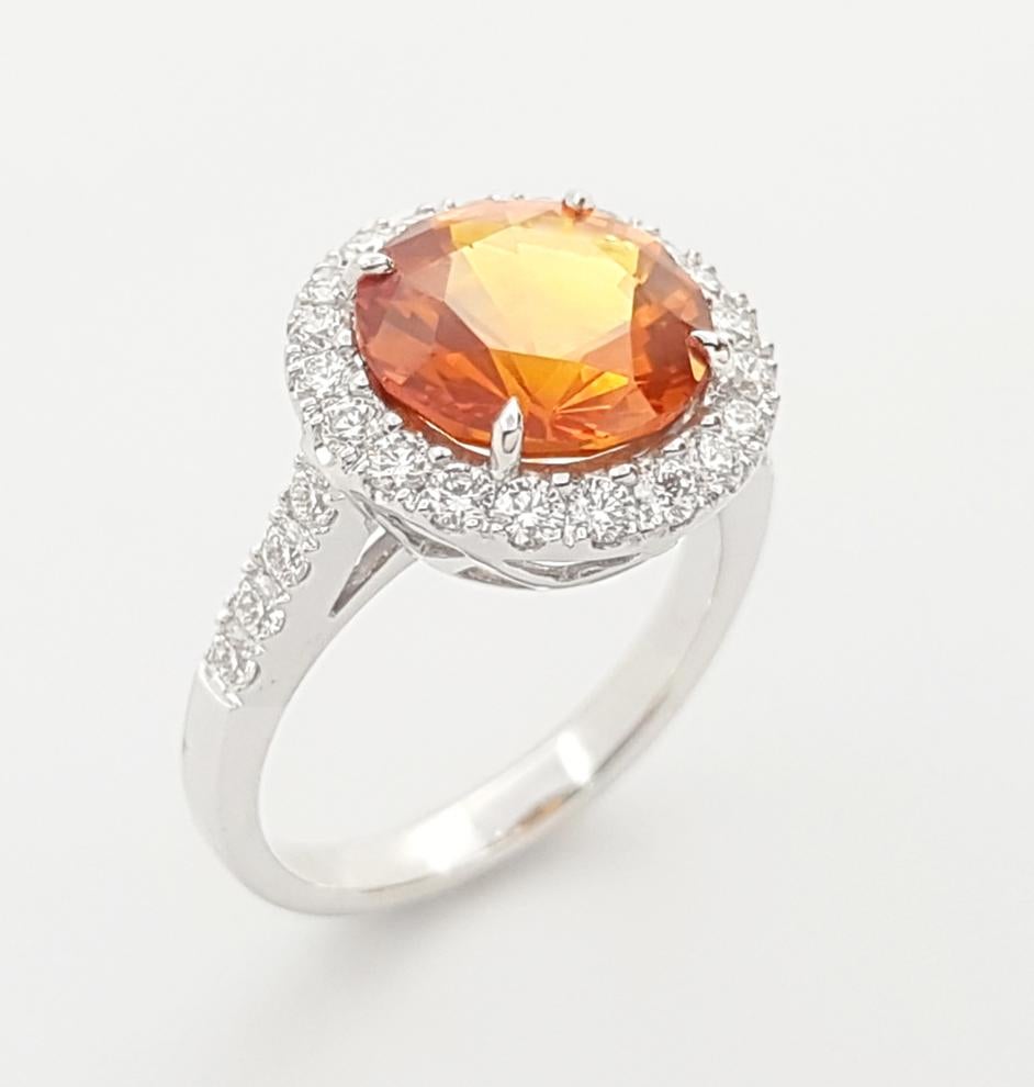 Yellow Sapphire with Diamond Ring Set in 18k White Gold Settings For Sale 1