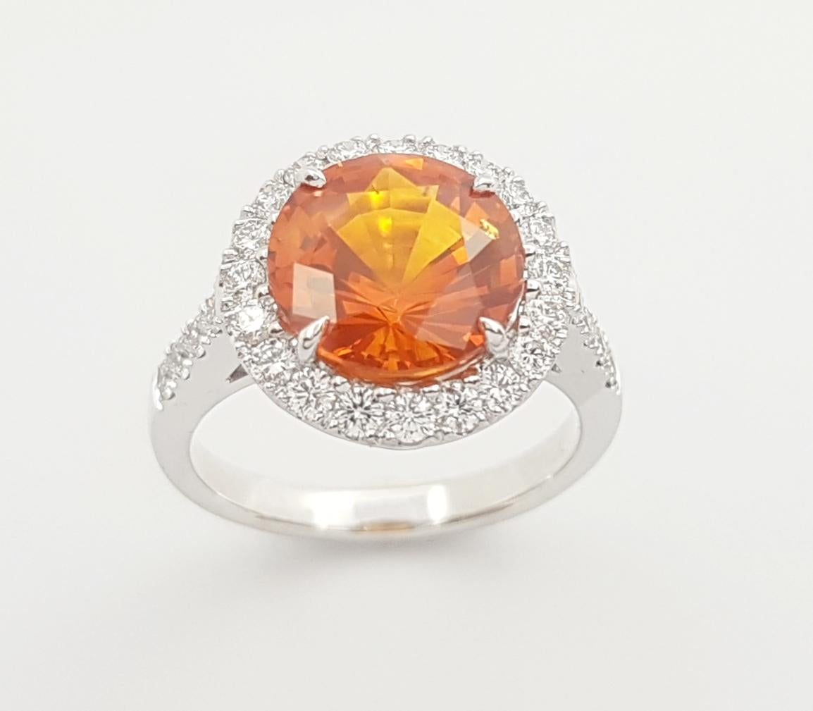 Yellow Sapphire with Diamond Ring Set in 18k White Gold Settings For Sale 2