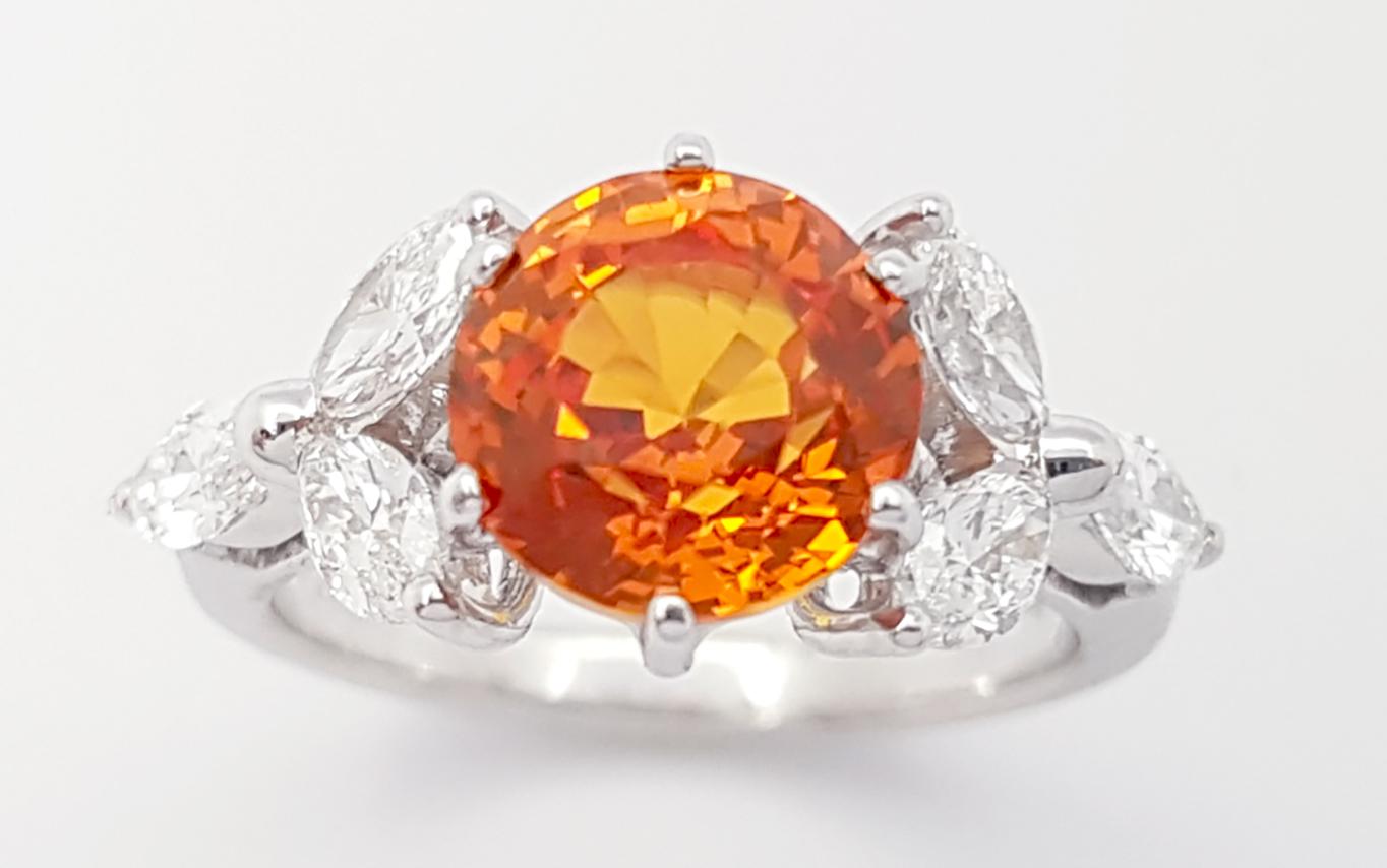 Yellow Sapphire with Diamond Ring set in 18K White Gold Settings For Sale 3