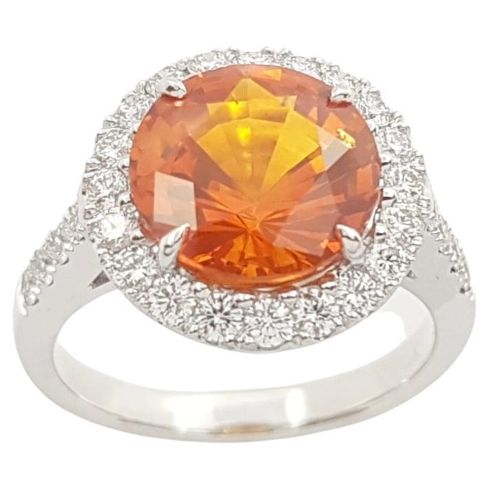 Yellow Sapphire with Diamond Ring Set in 18k White Gold Settings For Sale