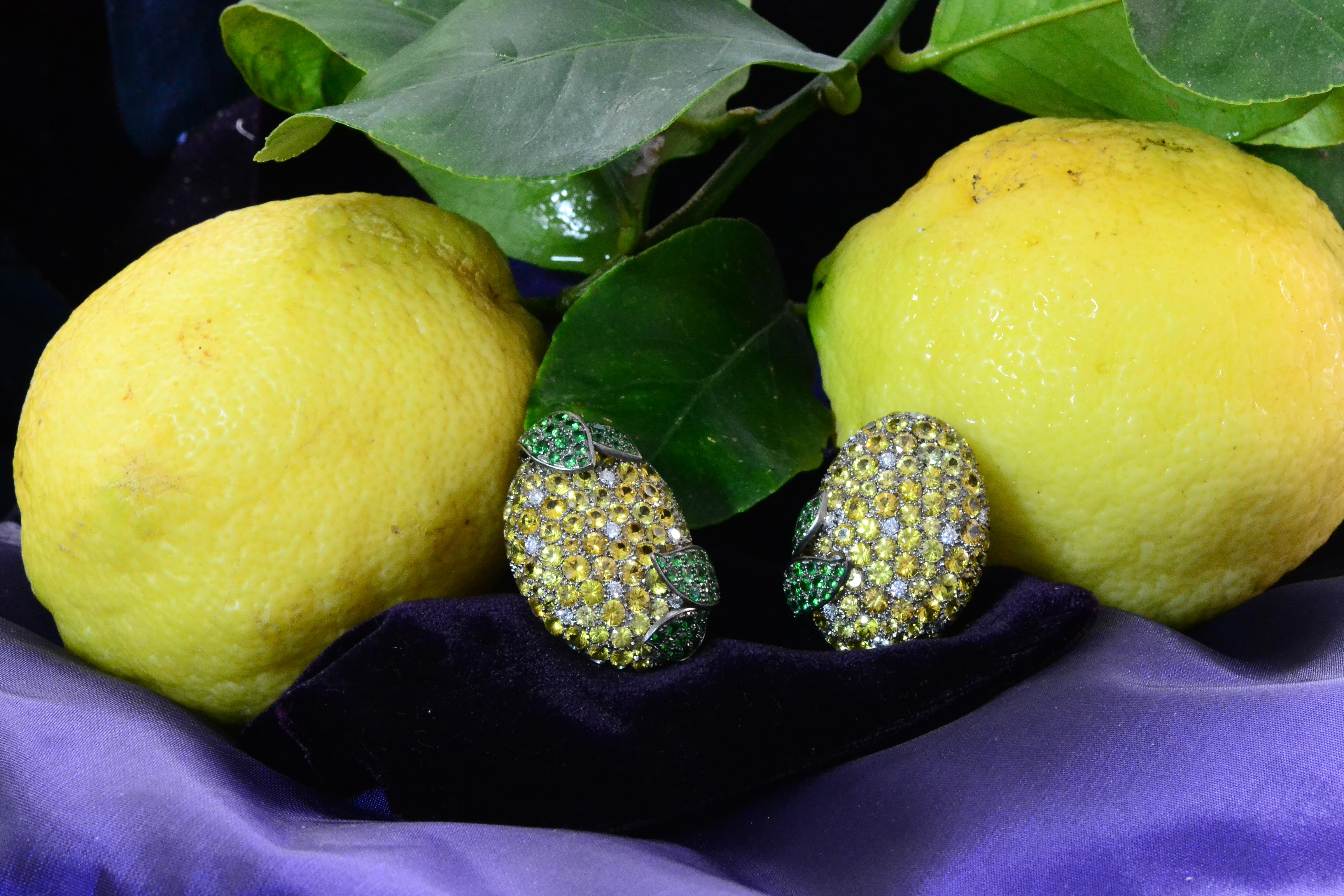 Yellow Sapphires Tsavorite Diamond Titanium Gold Earrings 2
