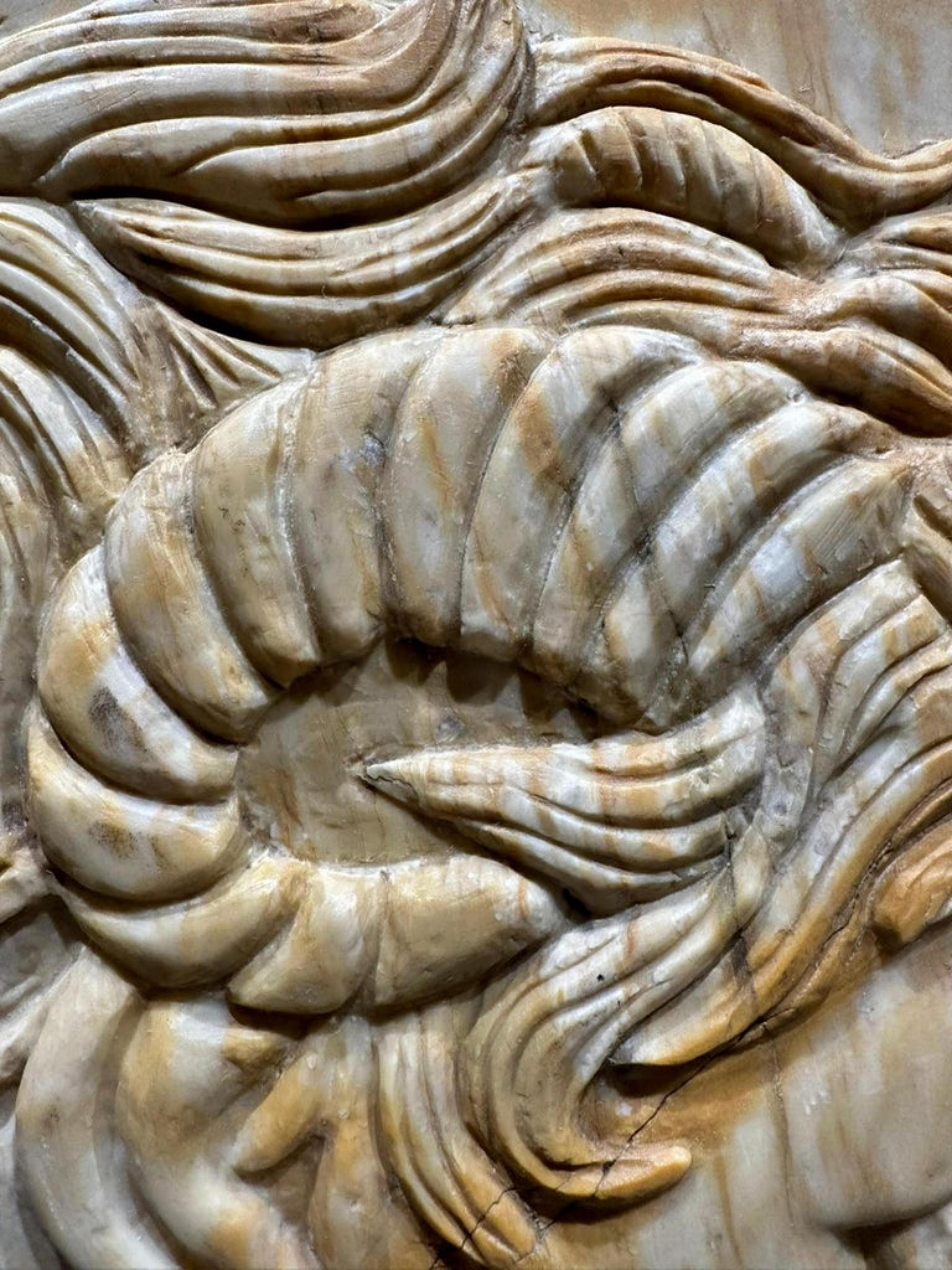 Barocco Tondo in marmo giallo di Siena di Alexander il Grande AMMON XX secolo in vendita