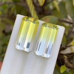 Yellow & White Bicolor Natural Citrine 30.40 Ct Emerald Cut Loose Gemstone Pair