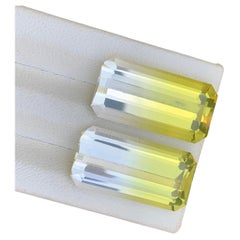 Yellow & White Bicolor Natural Citrine 30.40 Ct Emerald Cut Loose Gemstone Pair