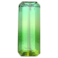 Yellowish Green Bicolor Natural Tourmaline Ring, Pendant Loose Gemstone 4.80 Ct
