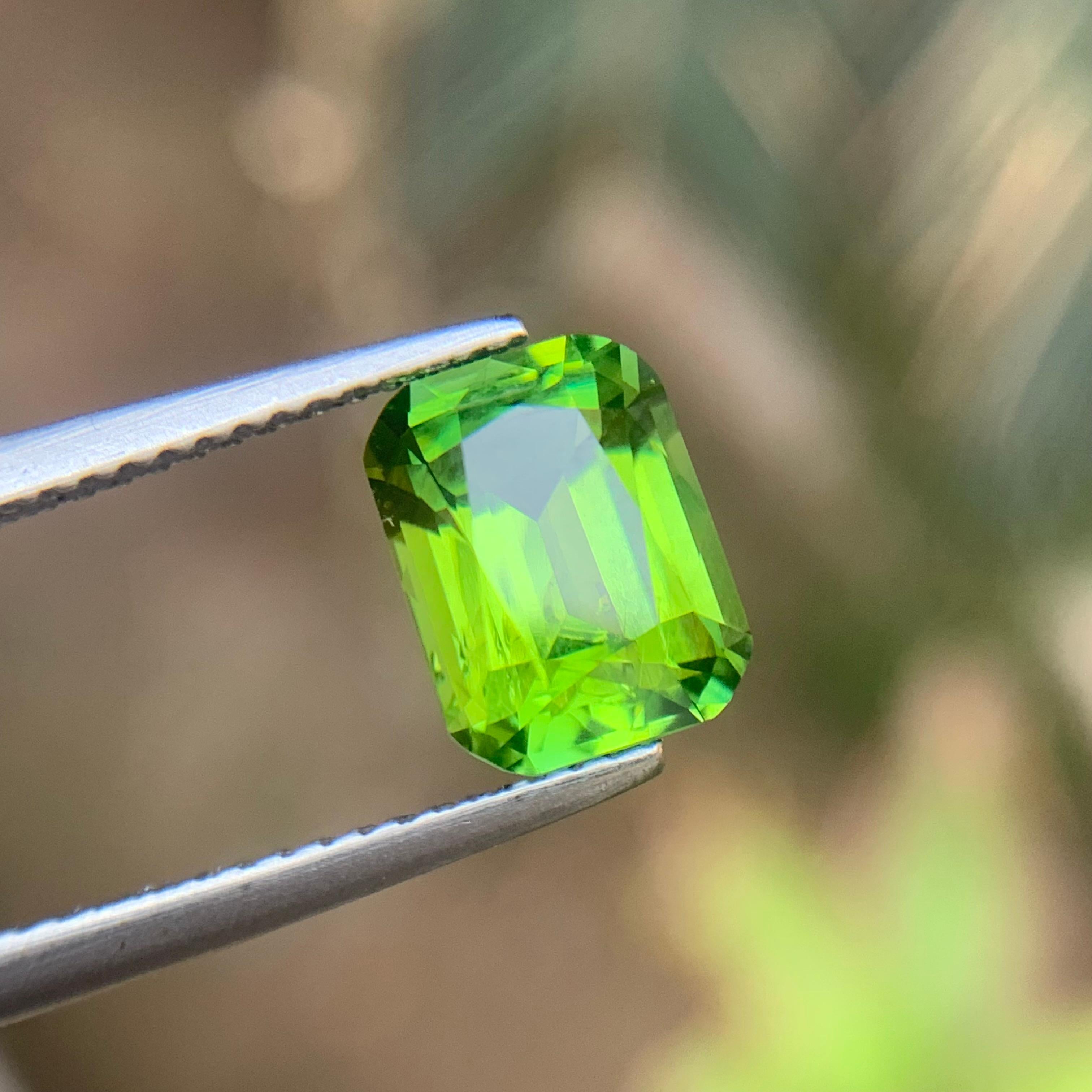 Gelblich grüner Turmalin 2,62 Karat Natürlicher Turmalin Loser Edelstein Cushion-Schliff im Angebot 5