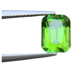 Yellowish Green Tourmaline 2.62 Ct Natural Tourmaline Loose Gemstone Cushion Cut
