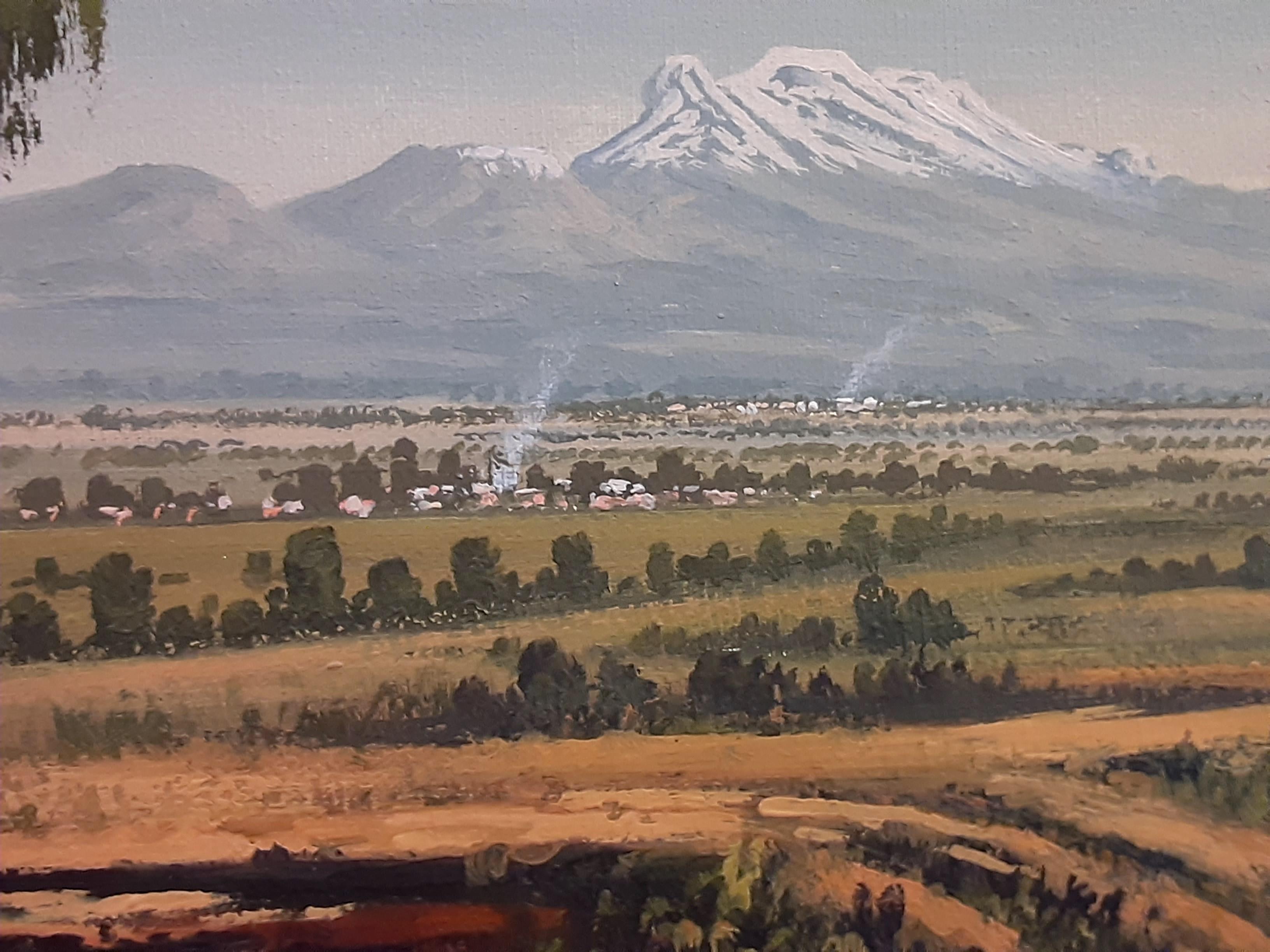 This landscape painting is of a volcano located southeast of Mexico City. This distant view of Popocatepetl gives it a sense of majesty. The cloudy blue sky sprawls over the top, gently balancing the snow-capped volcano. The foreground has a tree