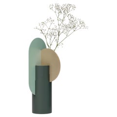 Vaso Yermilov CS2 di NOOM