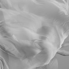 "Arabesque (No42)" Photography 45 x 45 inch Ed. of 18 by Yevgeniy Repiashenko