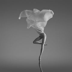 "Lotus" Ballet Photography 45" x 45" in Edition of 18 by Yevgeniy Repiashenko