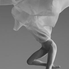 "Lotus" Ballet Photography 60" x 60" in Edition of 8 by Yevgeniy Repiashenko