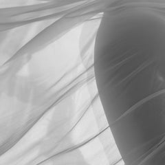 "Marche des Méréides" Photography 36x27 inch Ed. of 25 by Yevgeniy Repiashenko