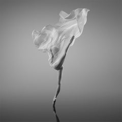 Sin título (n.º 90) Fotografía de ballet, 60 x 60 pulgadas, edición de 8 ejemplares, de Yevgeniy Repiashenko