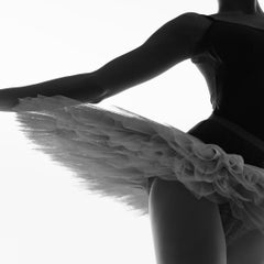 Nessun titolo (n. 81) Fotografia 36" x 25" pollici Ed. di 28 di Yevgeniy Repiashenko