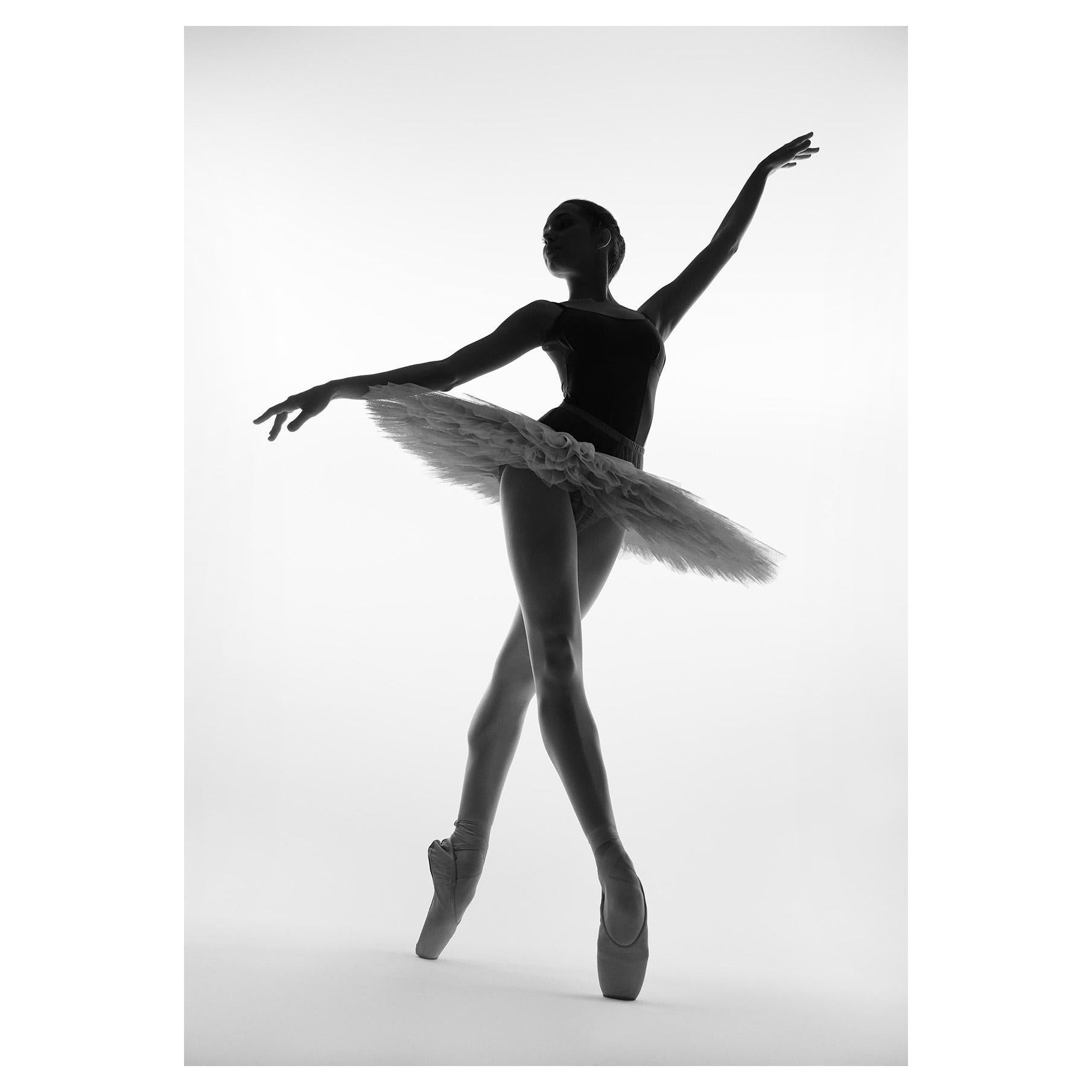 No title (No 81) Photography 36" x 25" inch Ed. of 28 by Yevgeniy Repiashenko

No title (No 81) by Yevgeniy Repiashenko
Year photo was taken: 2015
Limited Edition of 28

Picture size:
Height: 36" inch
Width: 25" inch

This artwork is part of