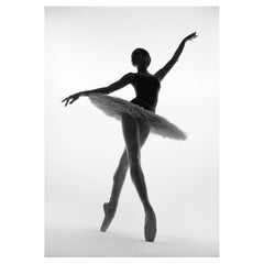 No title (No 81) Photography 36" x 25" inch Ed. of 28 by Yevgeniy Repiashenko