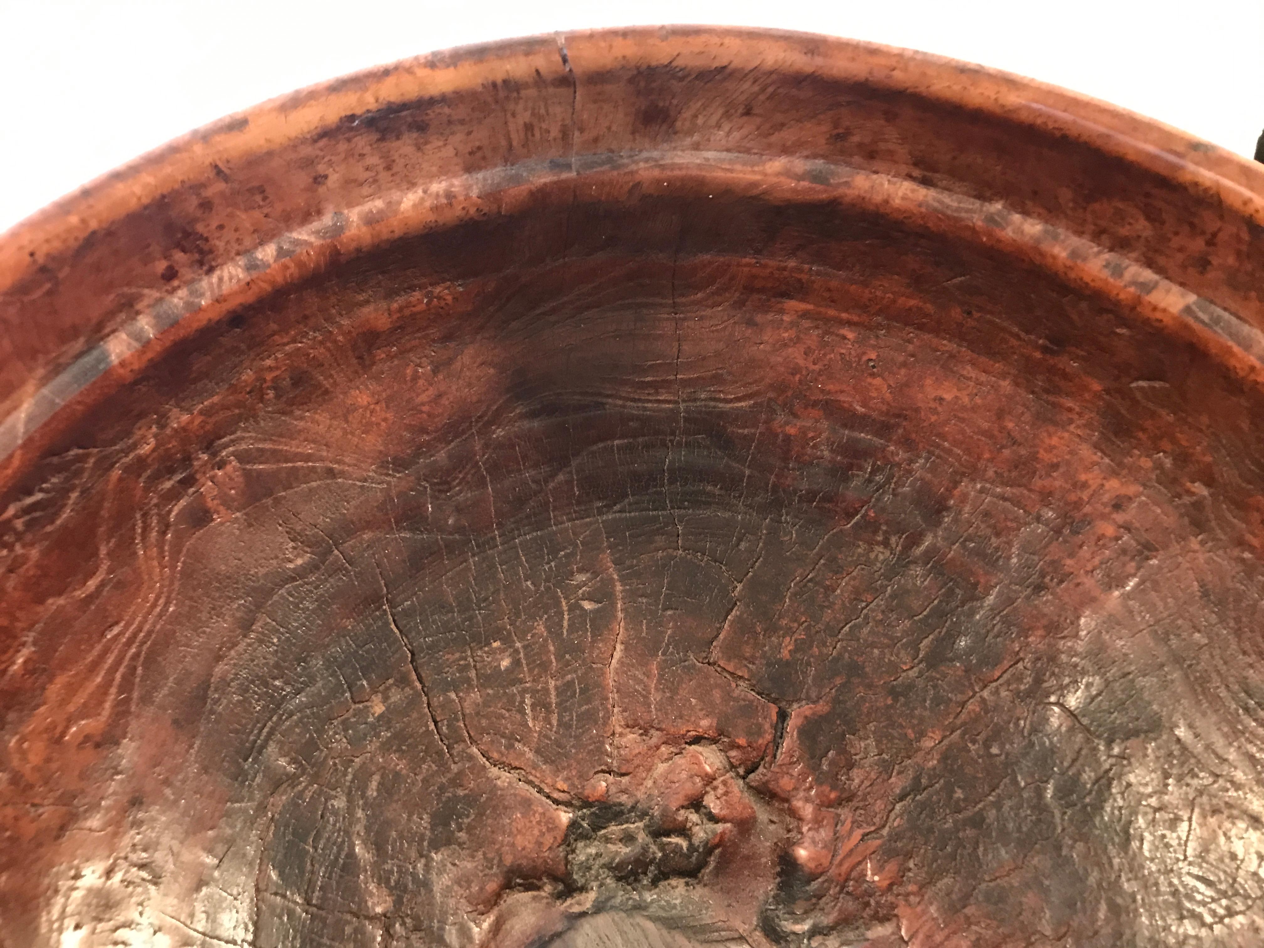 Yew Wood Burl Bowl, 19th Century In Good Condition In San Francisco, CA
