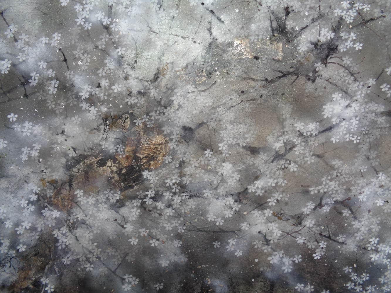Yozakura by CHEN Yiching - Contemporary Nihonga painting, flowering tree 1