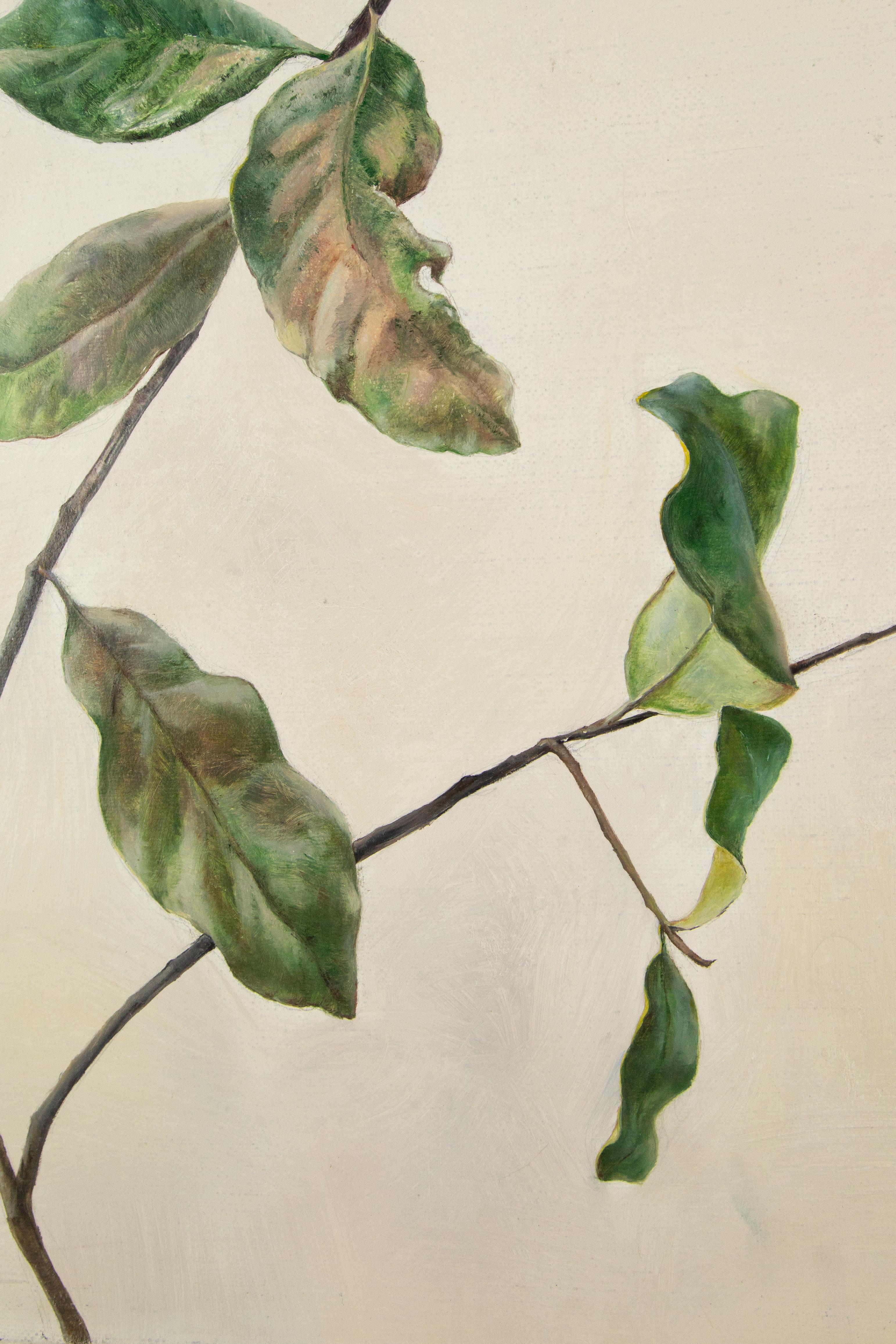 Yifang Liu Stillleben Original Öl auf Leinwand „Diverse Elemente – Pflanze“ im Angebot 4