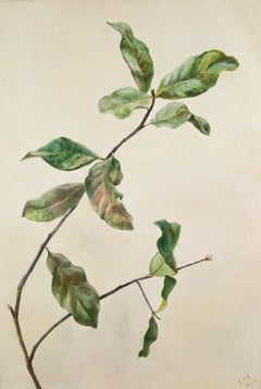 Nature morte originale à l'huile sur toile de Yifang Liu "Diverse Elements - Plant".