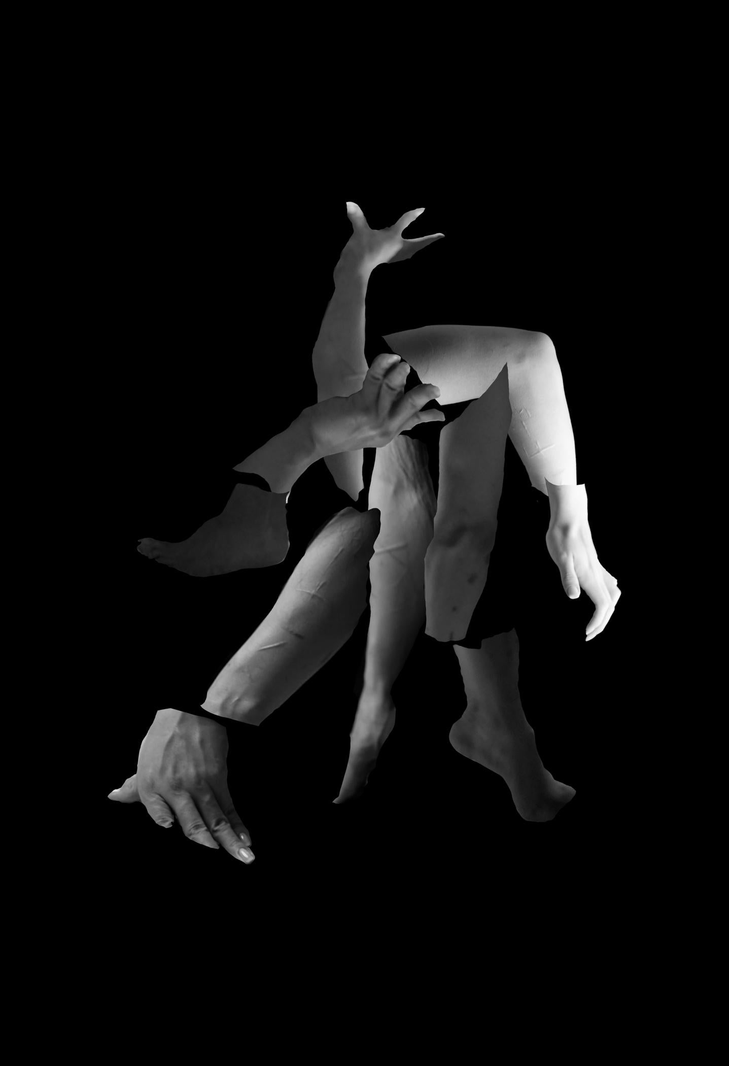 Fragmented-Untitled 3 & 5 Diptych. Digital Collage Photograph For Sale 3