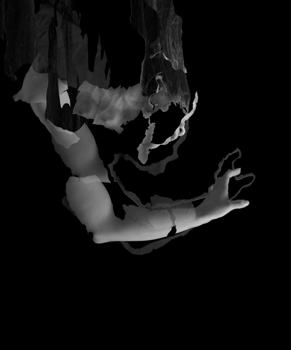 Fragmenté - Untitled 4 & 1 Diptyque. Photographie de collage numérique en vente 2