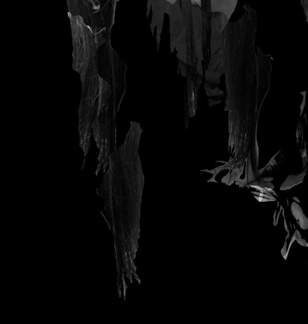 Fragmentiert – ohne Titel 4 & 2, Diptychon. Figurative Schwarz-Weiß-Fotografien im Angebot 1
