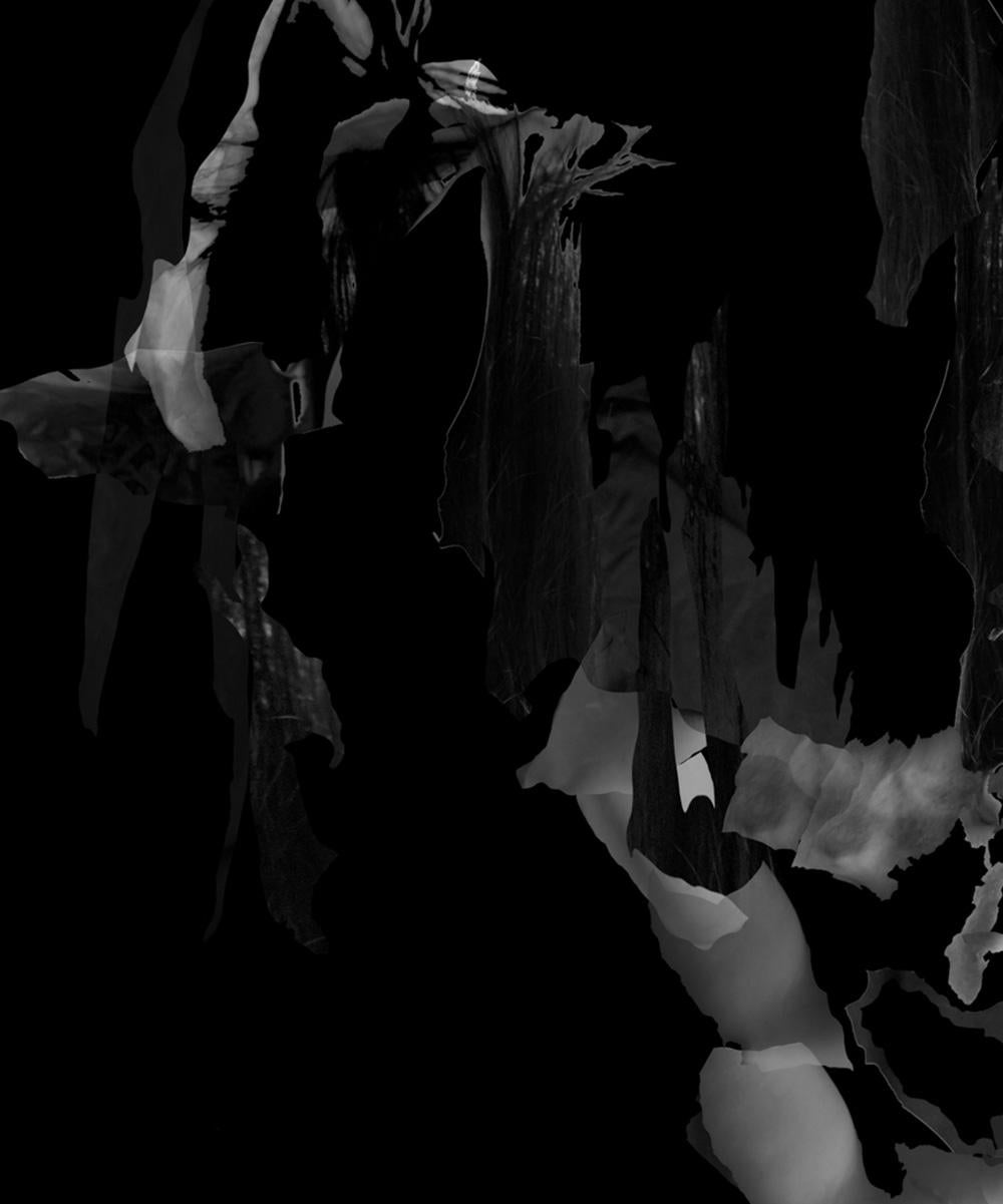 Fragmented-Untitled 4. Digital Collage Photograph - Black Figurative Photograph by Ying Chen