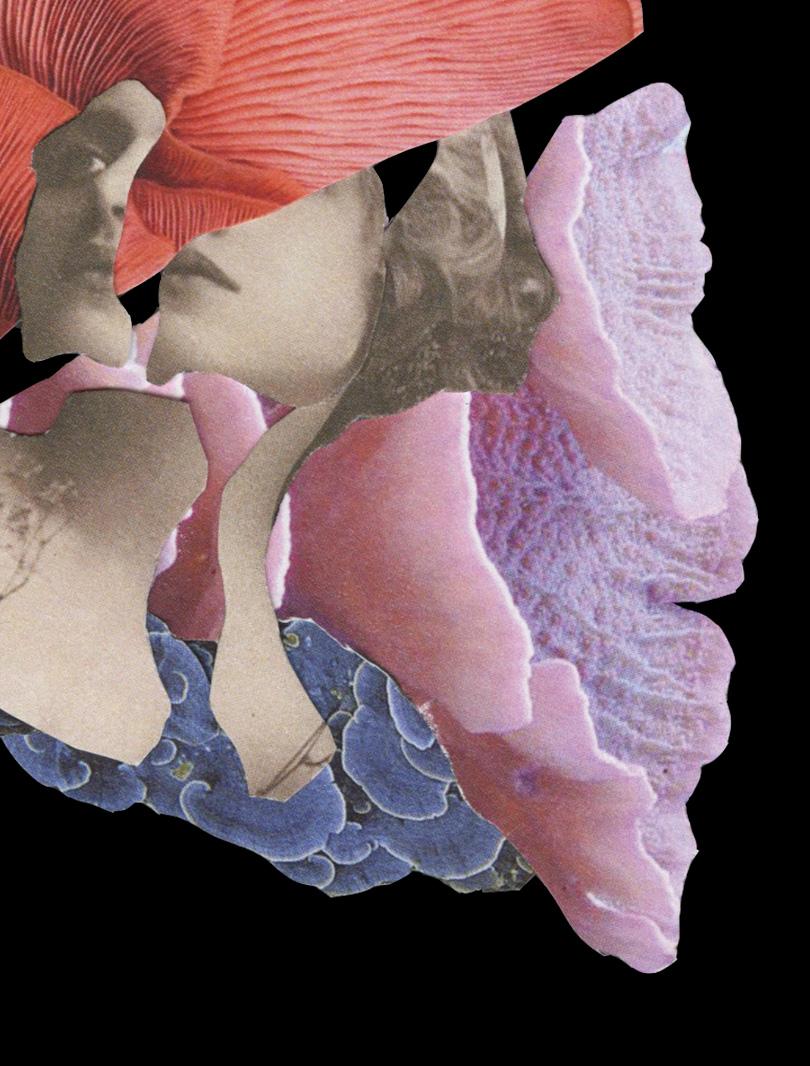 Her-Untitled 5, 2018 by Ying Chen
From the Her series 
Archival pigment print
Image size: 24 in. H x 20 in. W
Edition of 5 + 1AP
Unframed

This is a photo contemporary collage project based on modern art. Greatly influenced by natural figures and