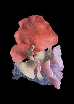 Her-Untitled 5 & 3 Diptych. Digital Collage Photograph