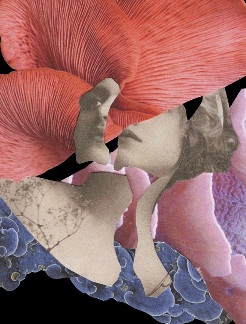 Her-Untitled 7 & 5 Diptych. Digital Collage Photograph For Sale 5