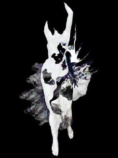 Rupture III and II. Digital Collage Photograph