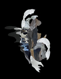 Rupture III. Digital Collage Photograph