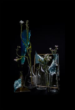 Color Photography