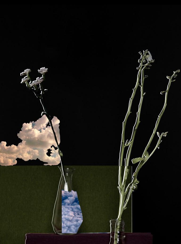 Untitled #3. From the series There is an ocean in my glass - Black Color Photograph by Ying Chen